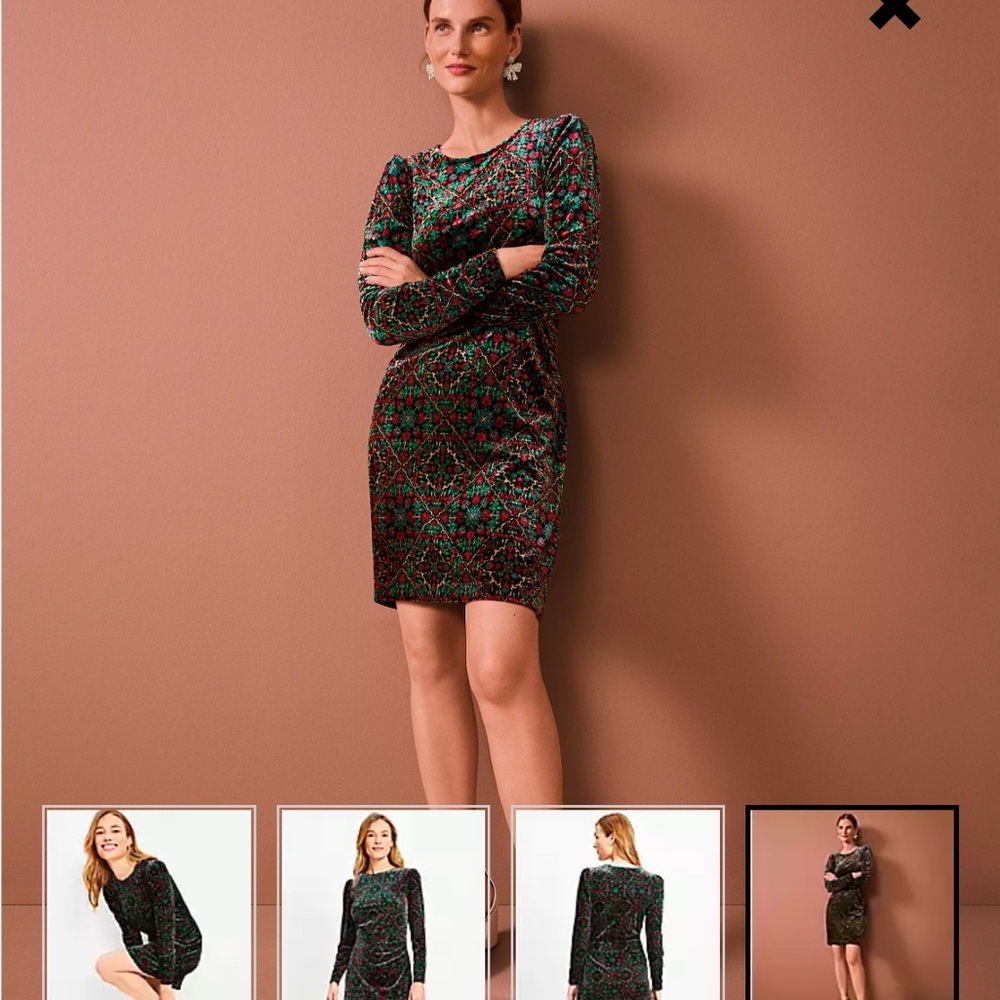 LOFT Ornamental Floral Shirred Velvet Mini Dress in Women’s 14 NWOT Never Worn - Picture 8 of 13